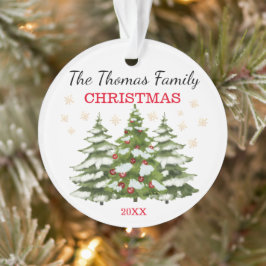 Navidades de árbol personalizados ornament