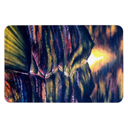 Navigation Path: Life Magneet (Horizontaal)