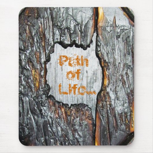 Navigation Path: Life Muismat (Voorkant)