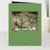 Navigation Path: Ultimate Freedom Graduation Card Kaart (Achterkant)