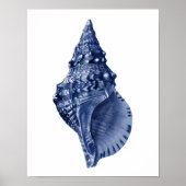 Navy Beach Decor Seashell Art Poster (Voorkant)