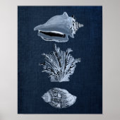 Navy Beach Decor Seashell Print nr. 10 (Voorkant)