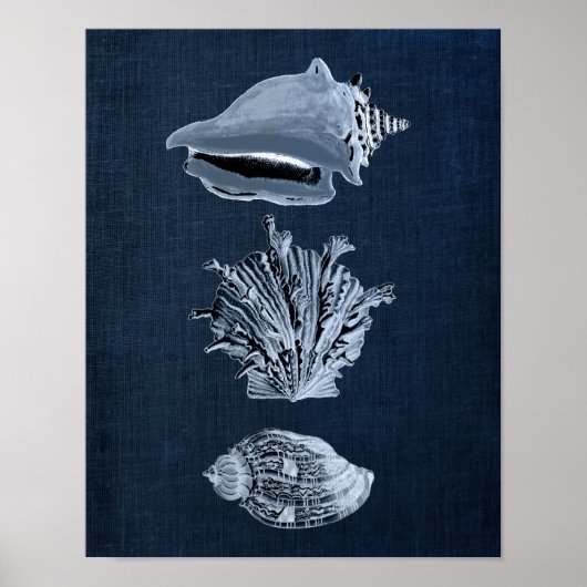 Navy Beach Decor Seashell Print nr. 10 (Voorkant)