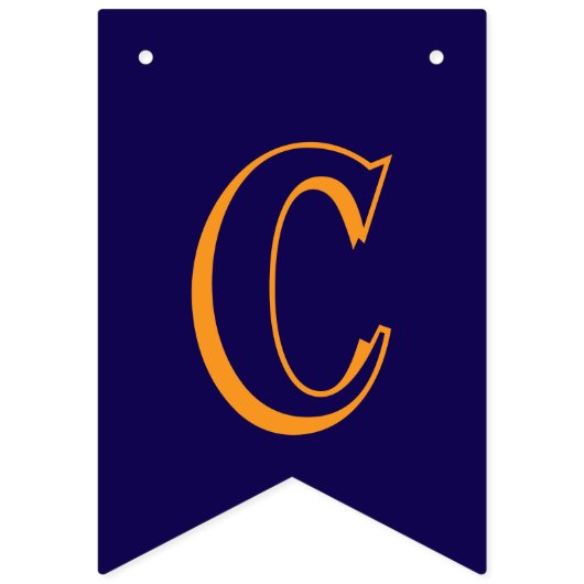 Navy Blauw en Sinaasappel School Kleuren Afstudere Vlaggetjes (Tweede vlag)