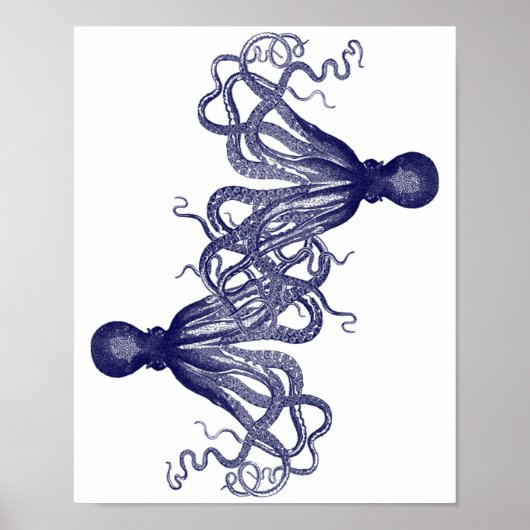 Navy Blue Giant Octopus Poster (Voorkant)