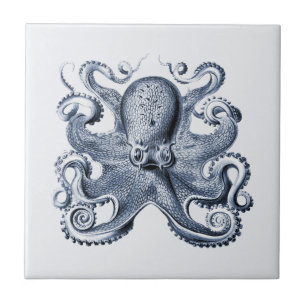 Navy Blue Octopus afbeelding door Ernst Haeckel Tegeltje