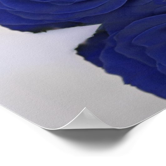 Navy Blue Roos Alfabetical Wedding Seating Chart Poster (Hoek)