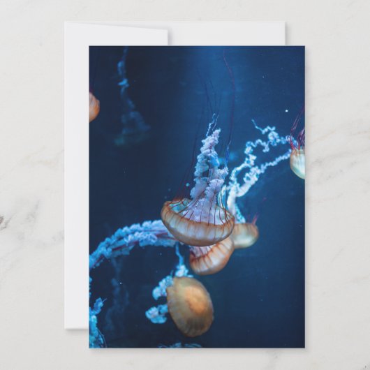 Navy Blue Underwater Jellyfish Nautical Wedding Save The Date (Achterkant)