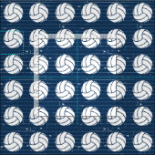 Navy Blue Volleyball Wood Floor Patterned Stof (Delen)
