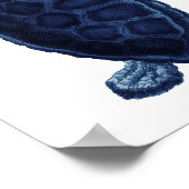 Navy Blue Zee Turtle Beach Bathroom Decor Poster (Hoek)