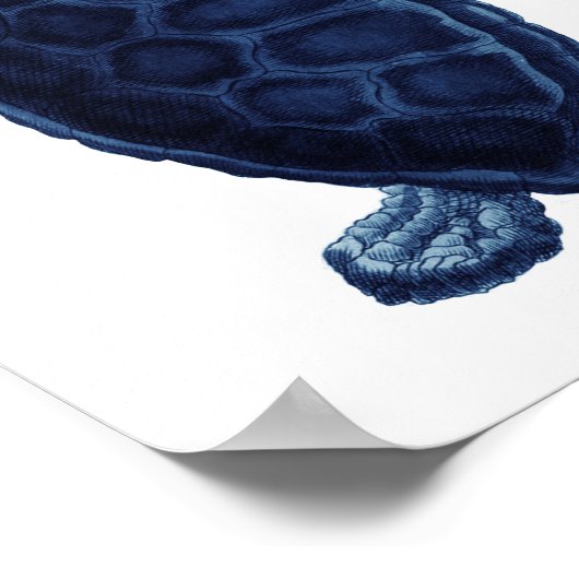 Navy Blue Zee Turtle Beach Bathroom Decor Poster (Hoek)