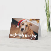 Navy Laat de vreugde los Hond Foto Feestdagen Kaart (Voorkant)