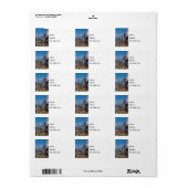 Navy Pier Lines Etiket (Full Sheet)