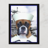 Navy Sailor Boxer Dog Briefkaart (Voorkant)