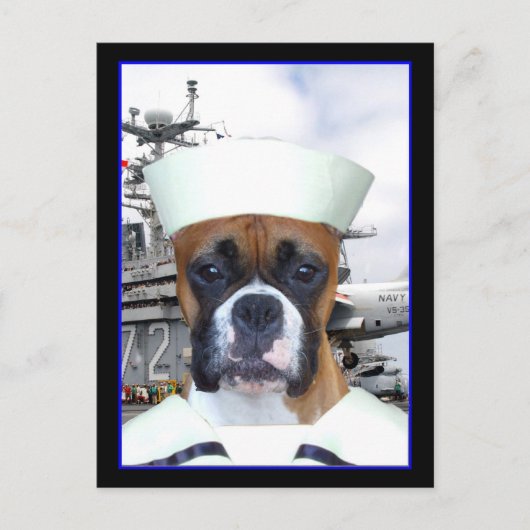 Navy Sailor Boxer Dog Briefkaart (Voorkant)