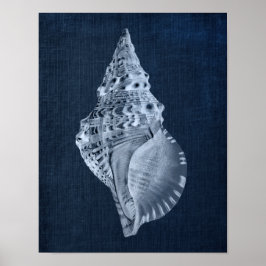 Navy Seashell Decor for Beach Bathroom of Bedroom Poster