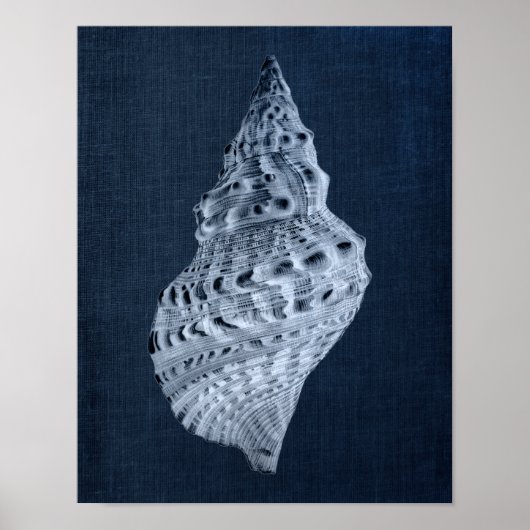 Navy Seashells Print no 1 Beach Decor Wall Art (Voorkant)
