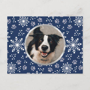Navy Snowflake Paw Pattern Foto Briefkaart
