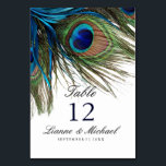 Navy Turquoise Pauw Trouwtafel   Menu Kaart<br><div class="desc">Mooie pauwenveren in heldere levendige kleuren van marine,  turquoise,  tinten groen en bruin. Combineer tafelkaart en menukaart op één plek. **Gecoördineerde sjablonen voor deze trouwsuite zijn te vinden in het collectie hieronder of door deze url in uw browser te plakken: https://www.zazzle.com/collections/peacock_wedding_collection-119251999256002928?rf=238919973384052768&CMPN=share_dclit&lang=en&social=true</div>