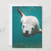 Navy Underwater Zee Lion turquoise Coastal Wedding Kaart (Achterkant)