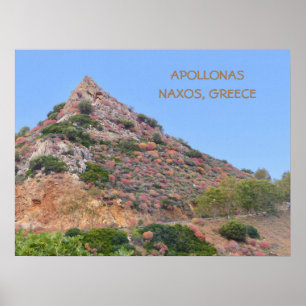 Naxos, Griekenland/kleurrijke vegetatie aan de ber Poster