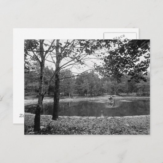 Nay Aug Park Scranton Pa. Briefkaart (Voorkant / Achterkant)