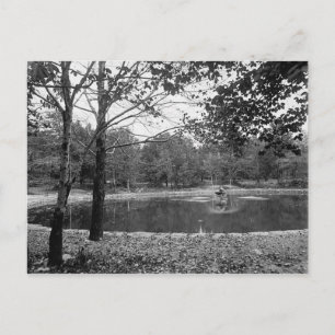 Nay Aug Park Scranton Pa. Briefkaart