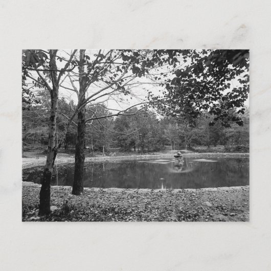 Nay Aug Park Scranton Pa. Briefkaart (Voorkant)