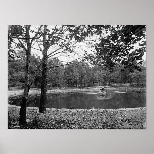 Nay Aug Park Scranton Pa. Poster (Voorkant)