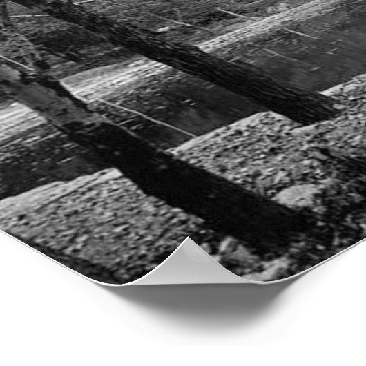 Nay Aug Park Scranton Pa. Poster (Hoek)