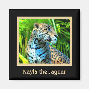 Nayla de Jaguar Magnet