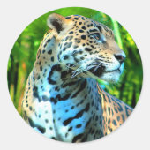 Nayla de Jaguar Ronde Sticker (Voorkant)