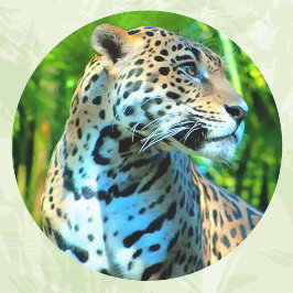 Nayla de Jaguar Ronde Sticker