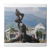 Nayo Tegeltje (Voorkant)