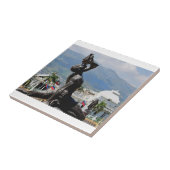 Nayo Tegeltje (Zijkant)