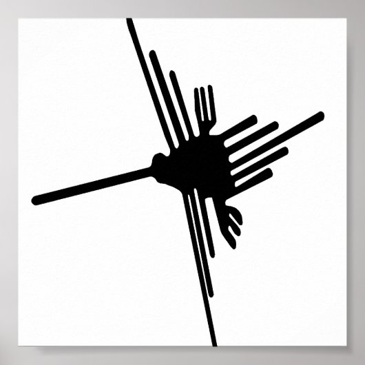 Nazca Hummingbird poster (Voorkant)