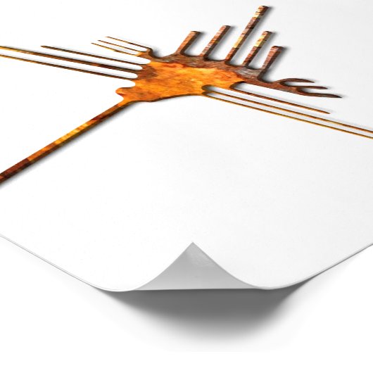 Nazca Hummingbird roest poster (Hoek)