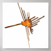 Nazca Hummingbird roest poster (Voorkant)