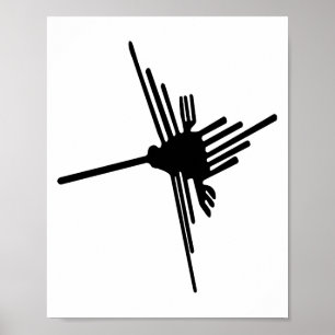 Nazca Kolibrie poster