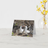 Nazca Vogel Vriendschaps Wenskaart Kaart (Gele Bloem)