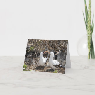 Nazca Vogel Vriendschaps Wenskaart Kaart