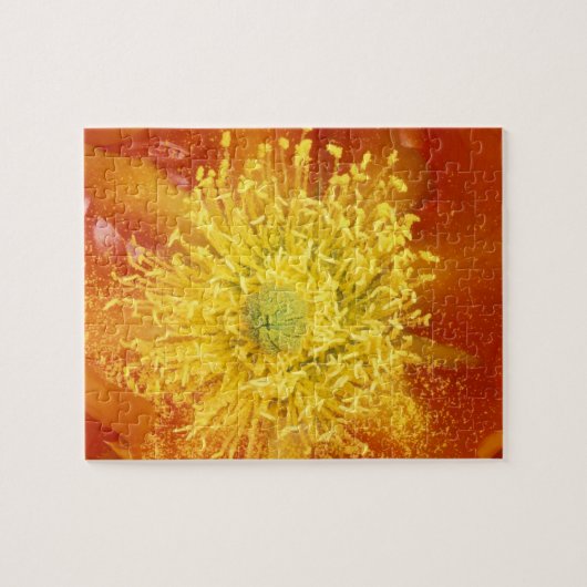 NB, Verenigde Staten, Arizona, Tucson, Sonora Dese Legpuzzel (Horizontaal)