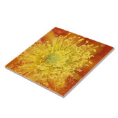 NB, Verenigde Staten, Arizona, Tucson, Sonora Dese Tegeltje (Zijkant)