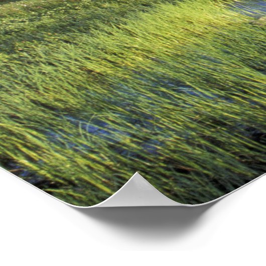 NB, VS, Washington, Mt Rainier National 5 Poster (Hoek)