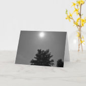 NC/Noir, kaart (Gele Bloem)