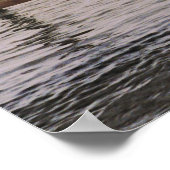 NC Pelicans Poster (Hoek)