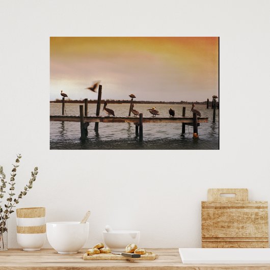 NC Pelicans Poster (Keuken)