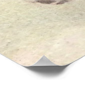 NC Wyeth historisch schilderij Hiawatha Poster (Hoek)