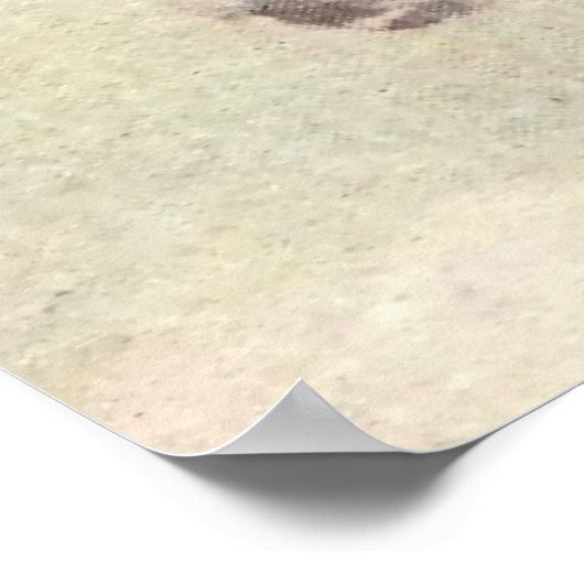 NC Wyeth historisch schilderij Hiawatha Poster (Hoek)