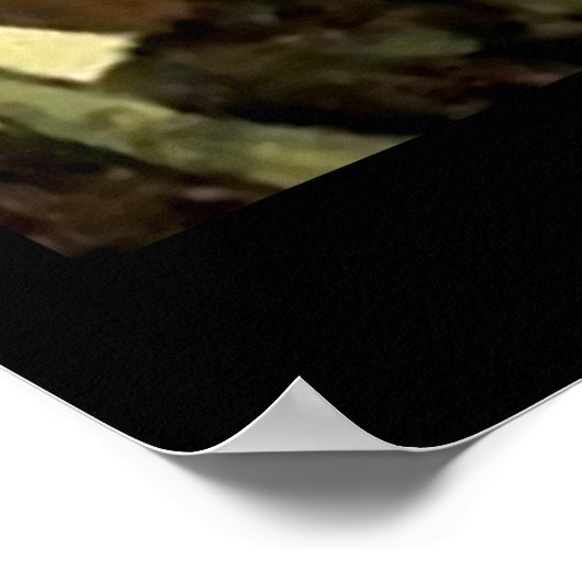 NC Wyeth historisch schilderij Indiase kano #2 Poster (Hoek)